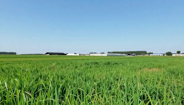 技术培训场景下的选型关注点分析